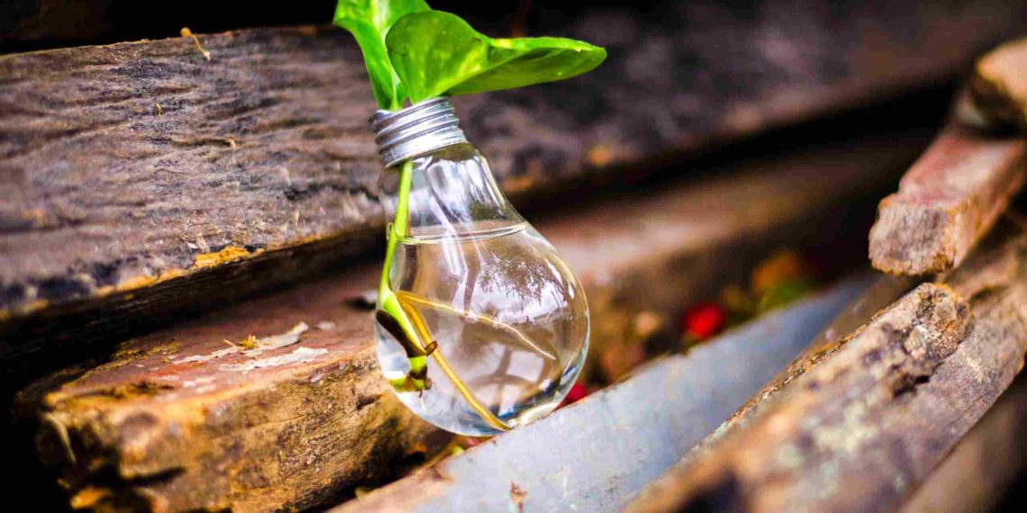 Quiz: How Agile Is Your Organisation?