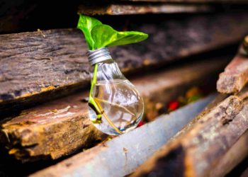 Quiz: How Agile Is Your Organisation?