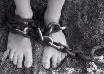 Le Proxy Product Owner : fonction légitime ou usurpée ?