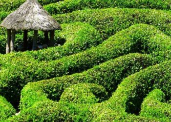 Comment maximiser ma contribution et choisir les réunions auxquelles je dois participer ?