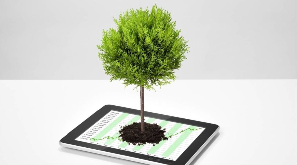 Stop Greenwashing: Here Comes Green IT!