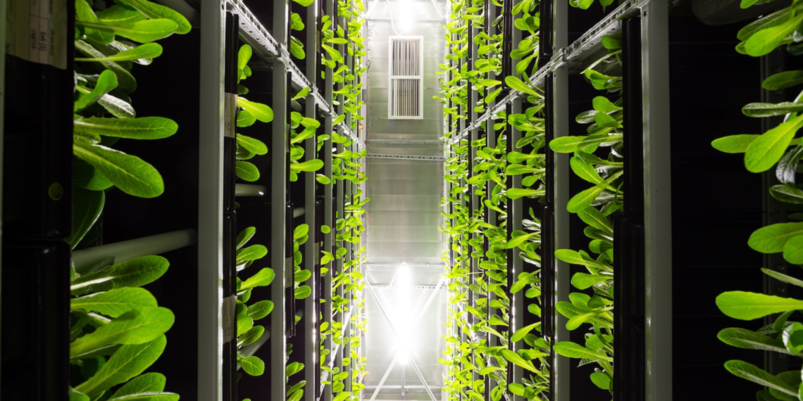 Un Système d’Information Écoresponsable, est-ce possible ?