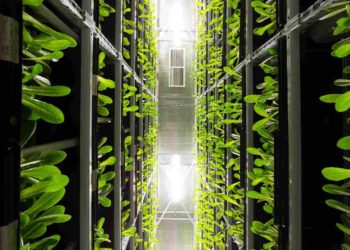 green server