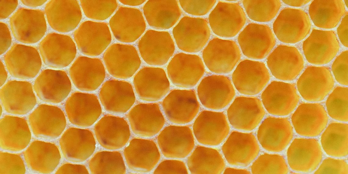 Miel naturel gourmet en nid d’abeille