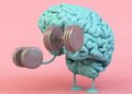 A blue brain exercizing with dumbell on a pink background.